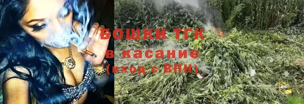 ГАЛЛЮЦИНОГЕННЫЕ ГРИБЫ Аркадак