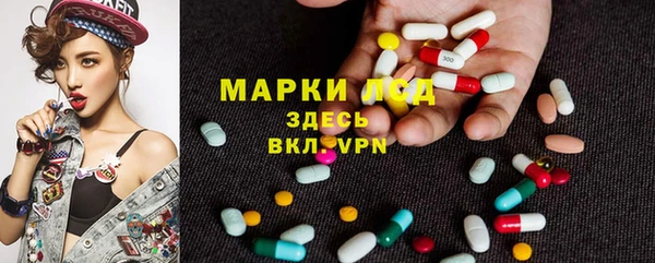 мяу мяу кристалл Арсеньев